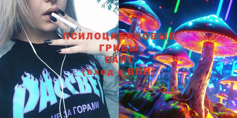 blacksprut ТОР  Вятские Поляны  shop как зайти  Галлюциногенные грибы Magic Shrooms 